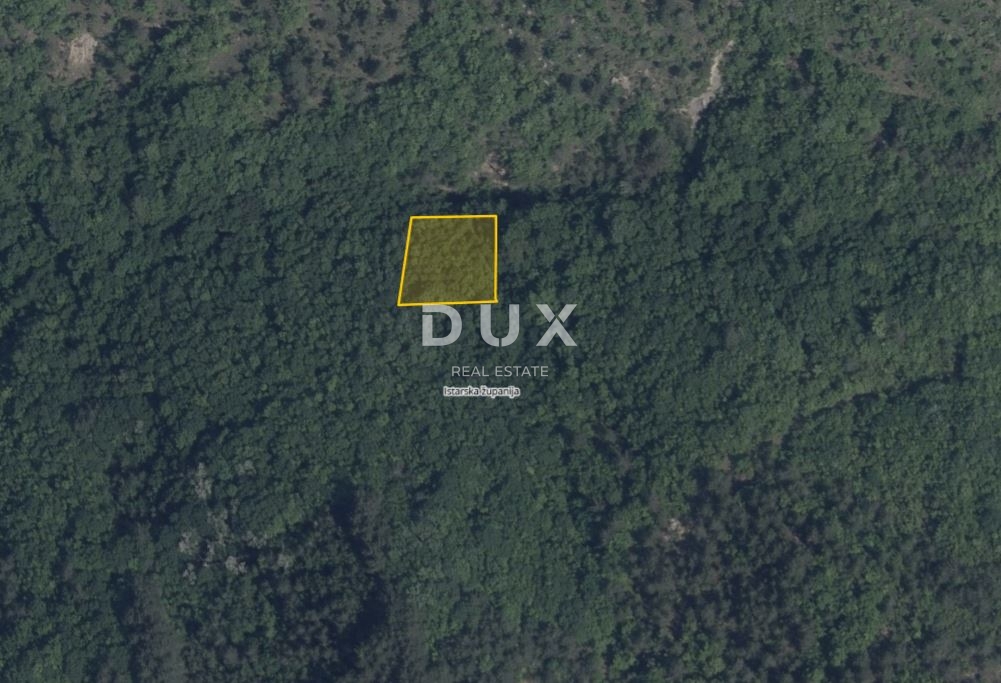 ISTRA, PAZIN, CEROVLJE – Zemljišče 1.075 m², gozd