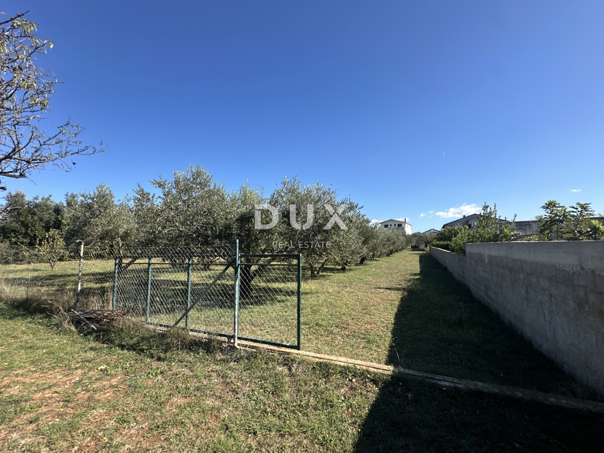 ZADAR, VRSI - Privlačno zemljišče v mirni vasi!