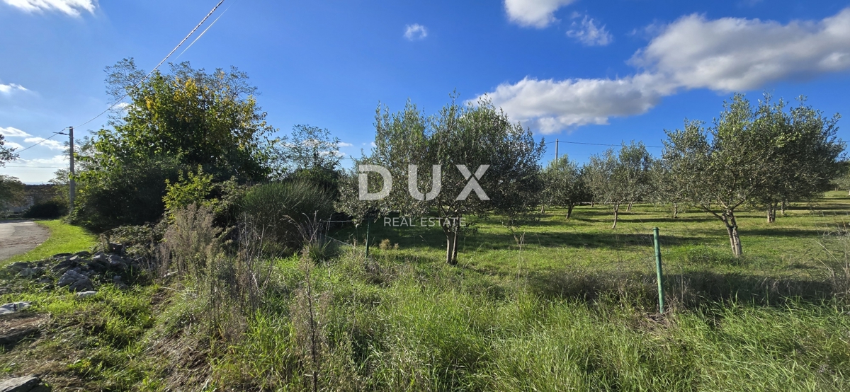 ISTRA, POREČ - Zazidljivo zemljišče pri Svetem Lovreču