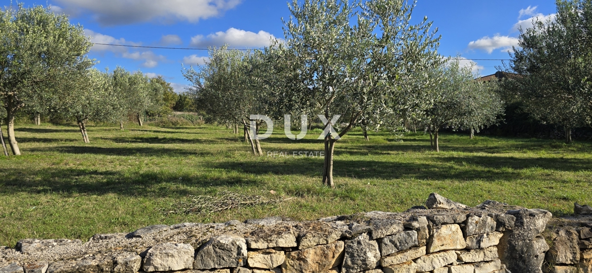 ISTRA, POREČ - Zazidljivo zemljišče pri Svetem Lovreču
