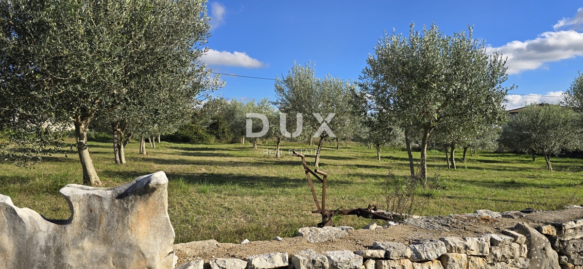 ISTRA, POREČ - Zazidljivo zemljišče pri Svetem Lovreču