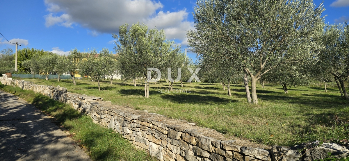 ISTRA, POREČ - Zazidljivo zemljišče pri Svetem Lovreču