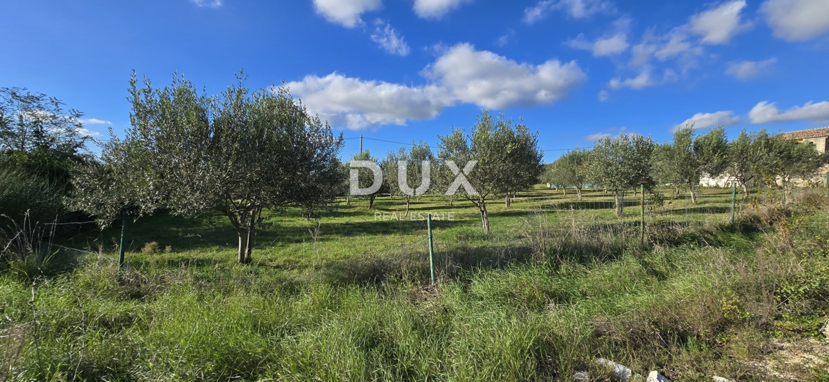 ISTRA, POREČ - Zazidljivo zemljišče pri Svetem Lovreču