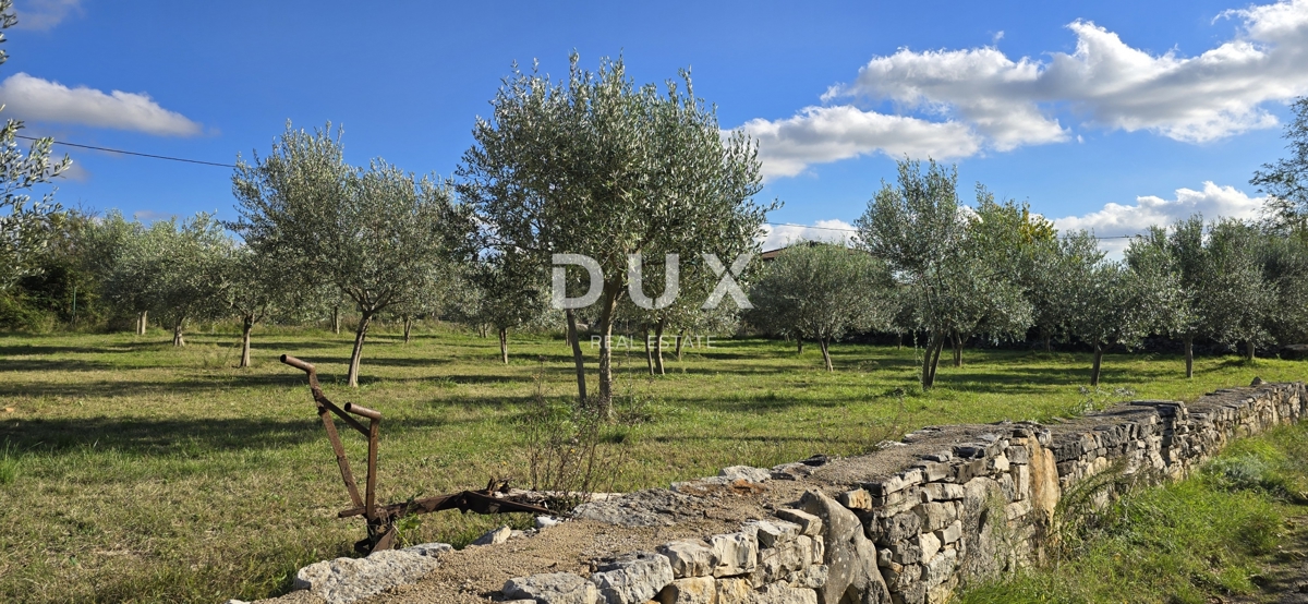 ISTRA, POREČ - Zazidljivo zemljišče pri Svetem Lovreču