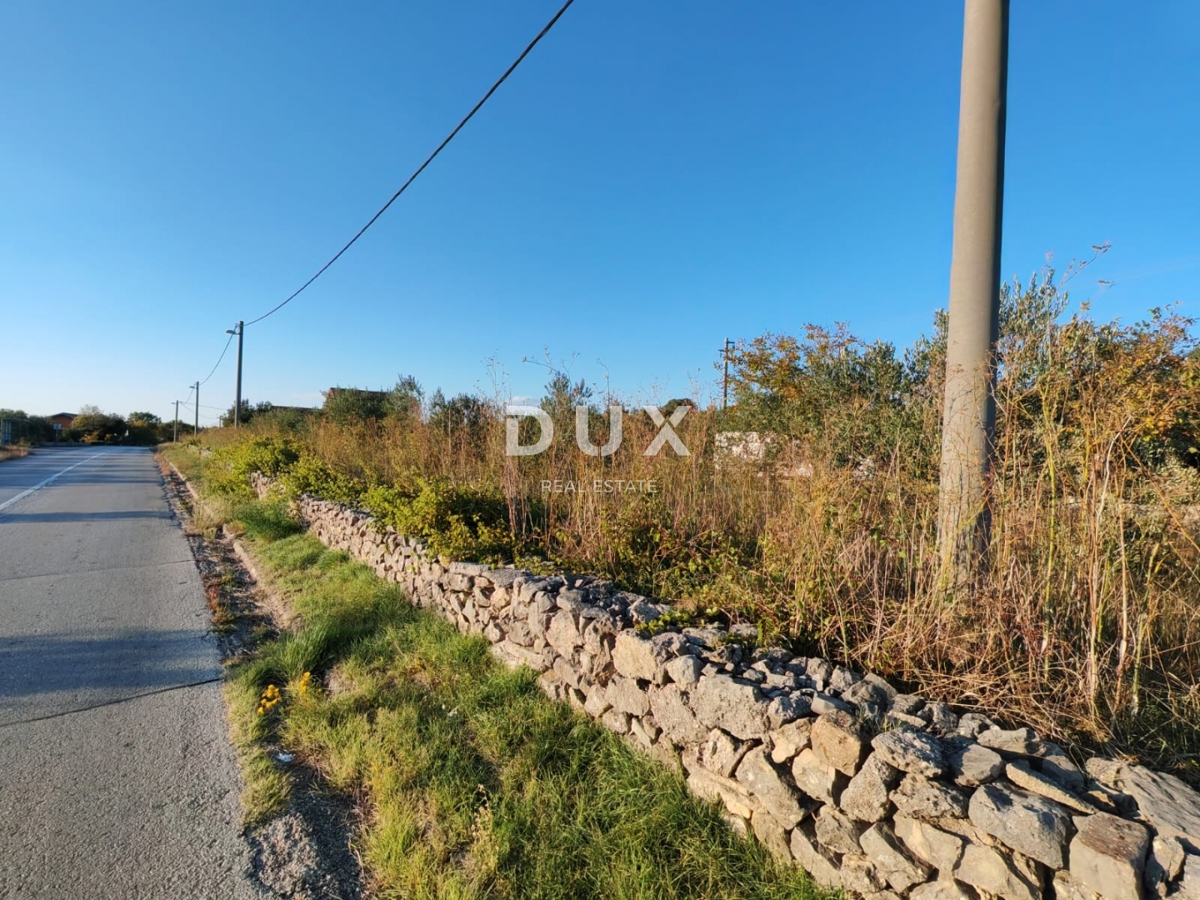 ZADAR, PRIDRAGA - PRILOŽNOST! Oljčni nasad na gradbišču