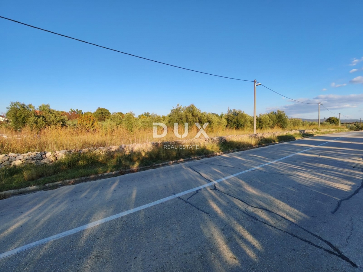 ZADAR, PRIDRAGA - PRILOŽNOST! Oljčni nasad na gradbišču