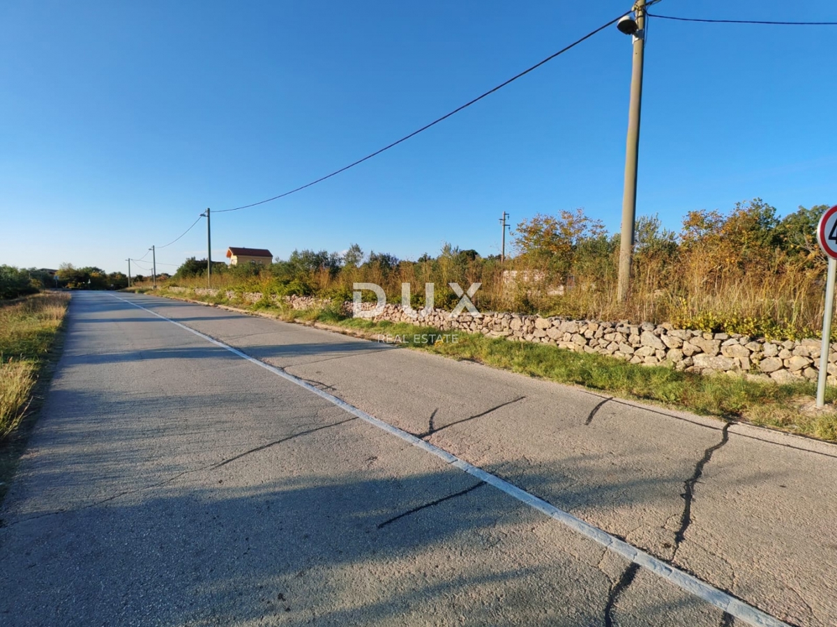 ZADAR, PRIDRAGA - PRILOŽNOST! Oljčni nasad na gradbišču