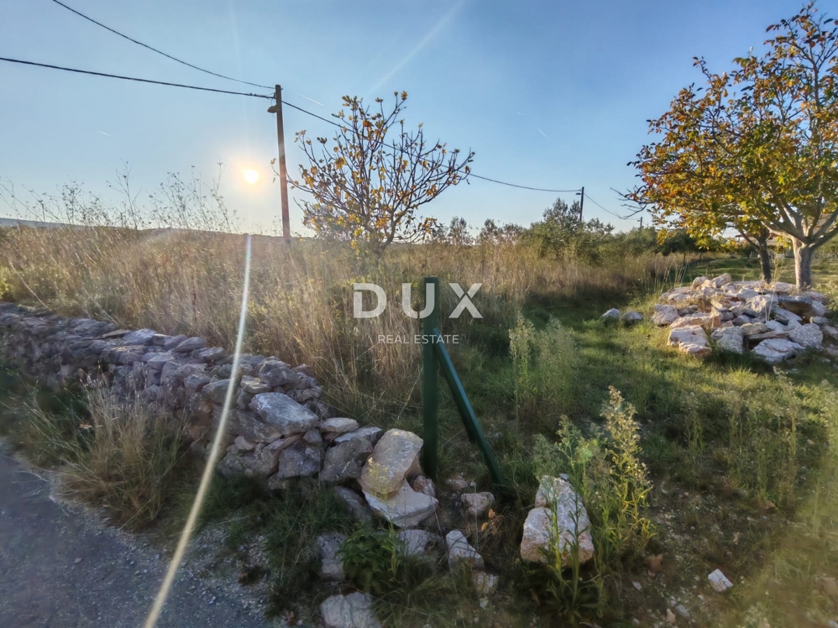 ZADAR, PRIDRAGA - PRILOŽNOST! Oljčni nasad na gradbišču