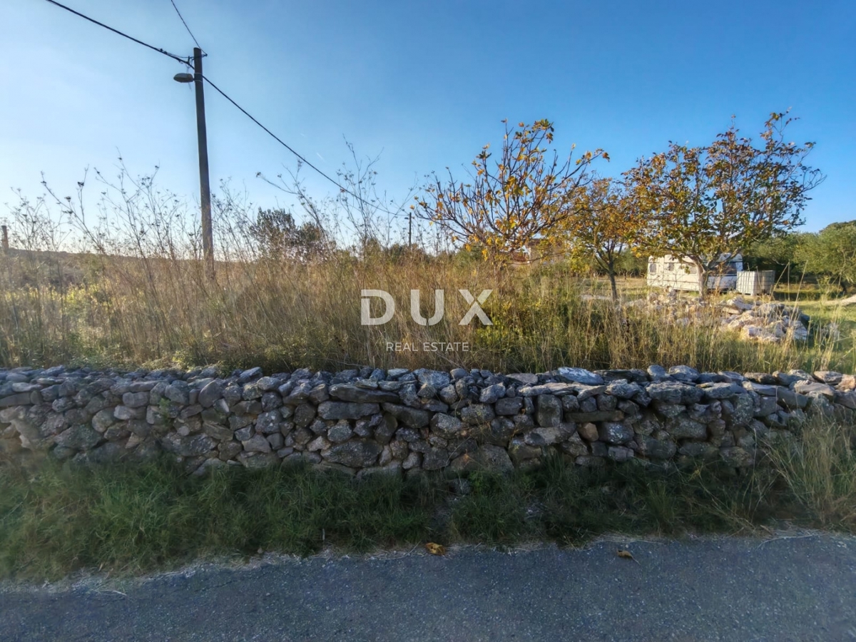 ZADAR, PRIDRAGA - PRILOŽNOST! Oljčni nasad na gradbišču