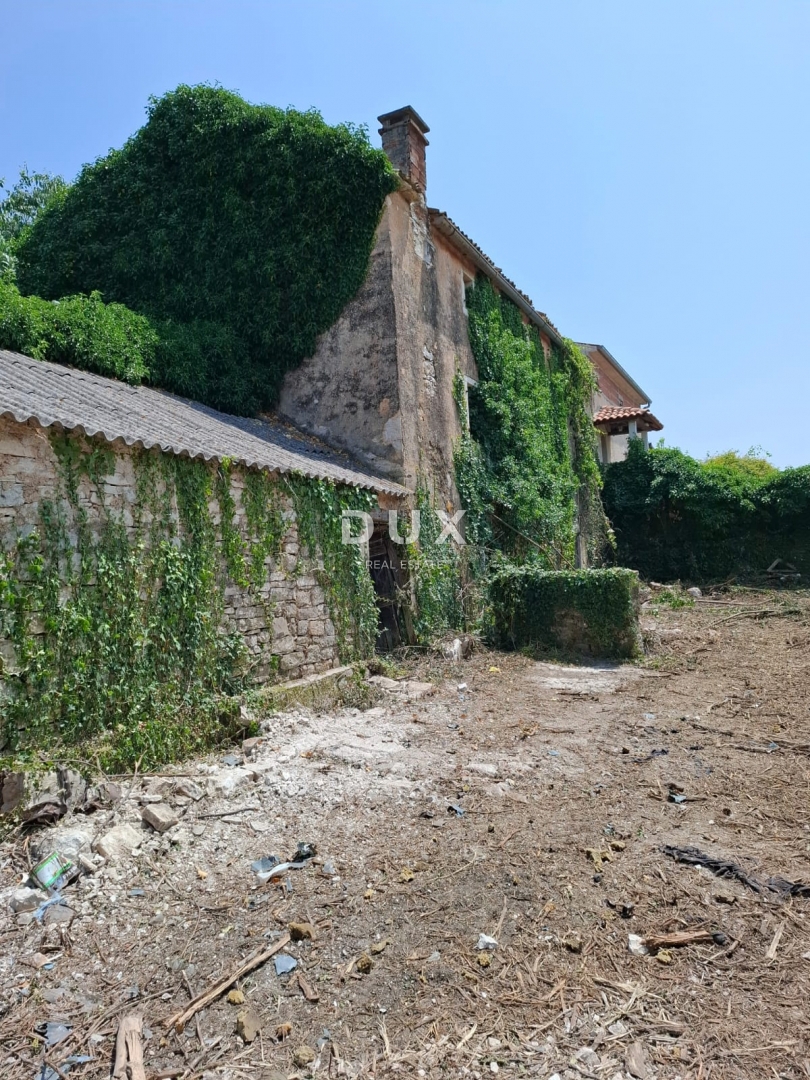 Zemljišče Bale, 7.801m2