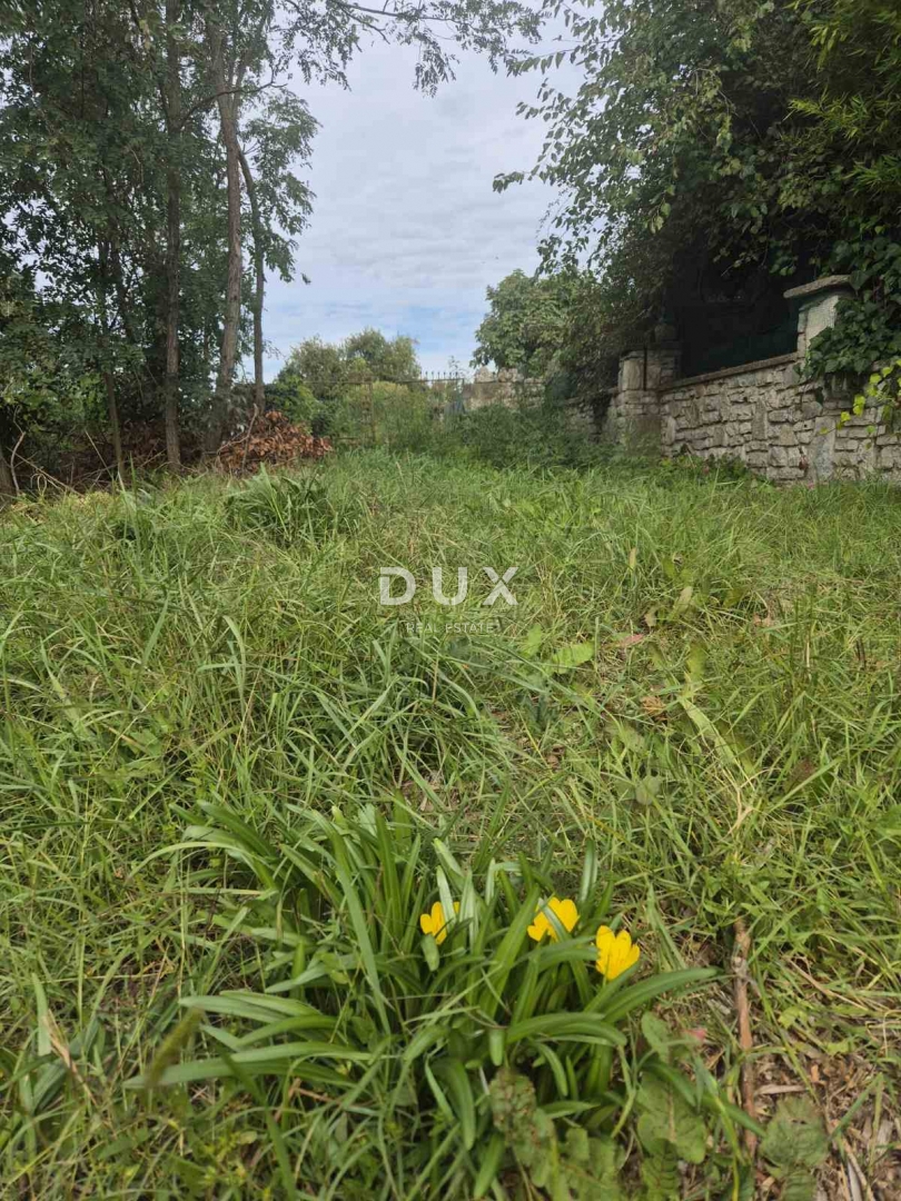 Zemljišče Bale, 7.801m2