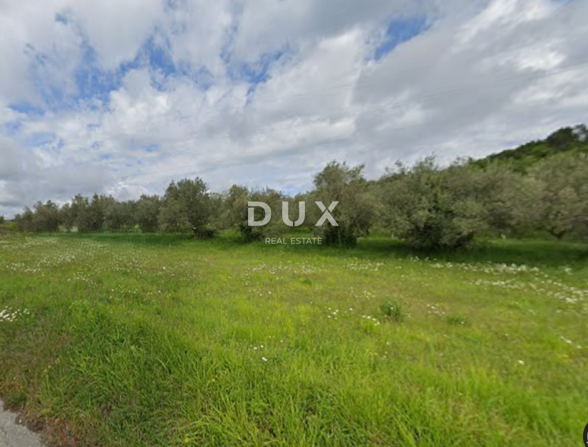 Zemljišče Buzet, 3.761m2