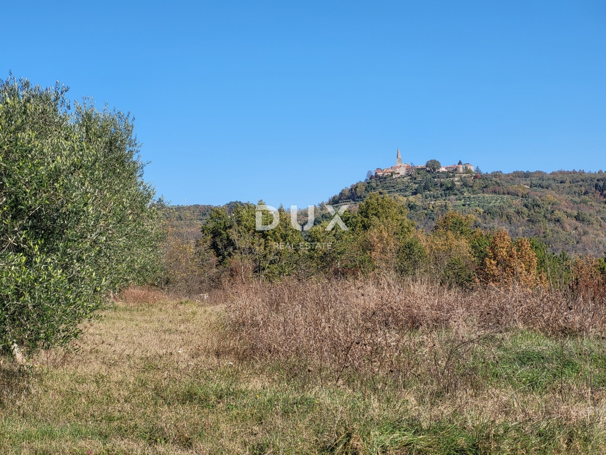 ISTRA, GROŽNJAN - Kamnita starina na odlični lokaciji