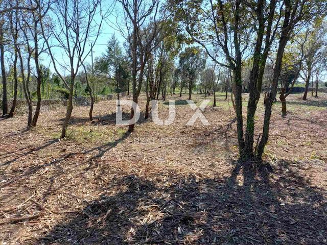 ISTRA, RAKALJ - Gradbeno zemljišče z velikim potencialom