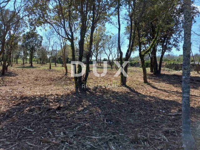 ISTRA, RAKALJ - Gradbeno zemljišče z velikim potencialom