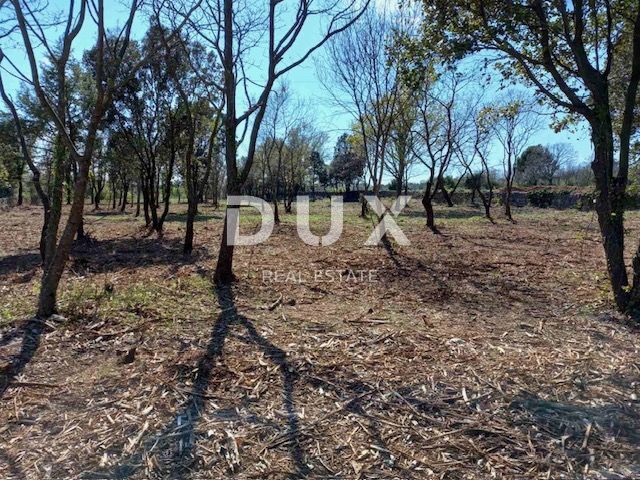 ISTRA, RAKALJ - Gradbeno zemljišče z velikim potencialom