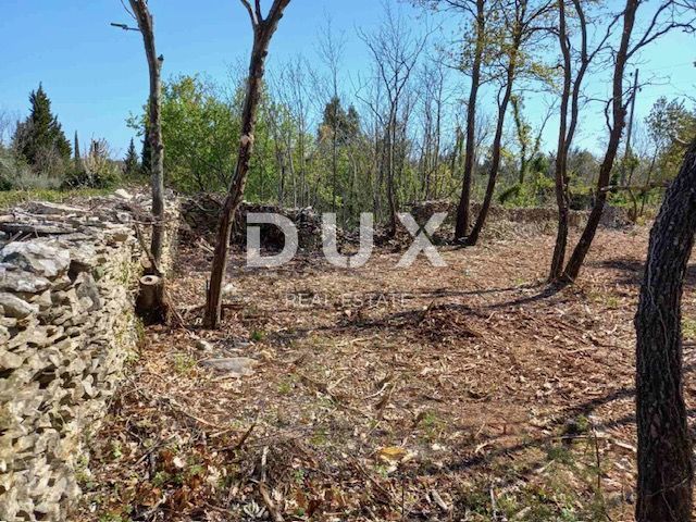 ISTRA, RAKALJ - Gradbeno zemljišče z velikim potencialom