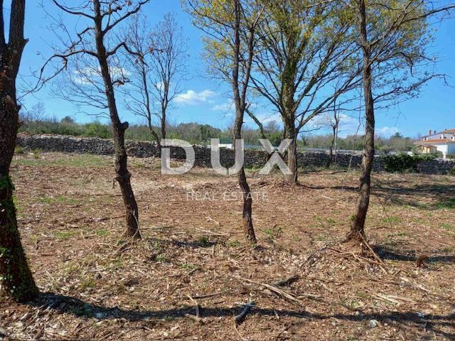 ISTRA, RAKALJ - Gradbeno zemljišče z velikim potencialom