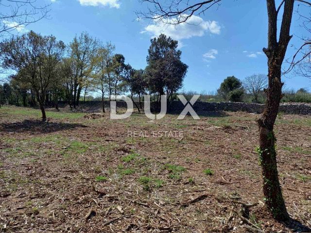 ISTRA, RAKALJ - Gradbeno zemljišče z velikim potencialom