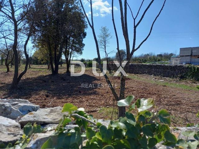 ISTRA, RAKALJ - Gradbeno zemljišče z velikim potencialom