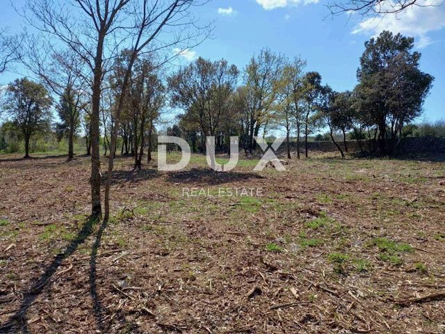 ISTRA, RAKALJ - Gradbeno zemljišče z velikim potencialom