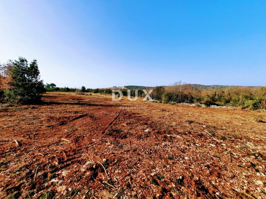 ISTRA, ROVINJ - Idealna kmetijska parcela