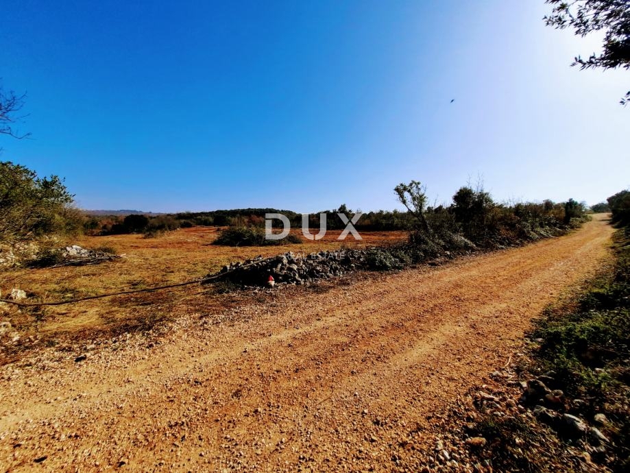 ISTRA, ROVINJ - Idealna kmetijska parcela