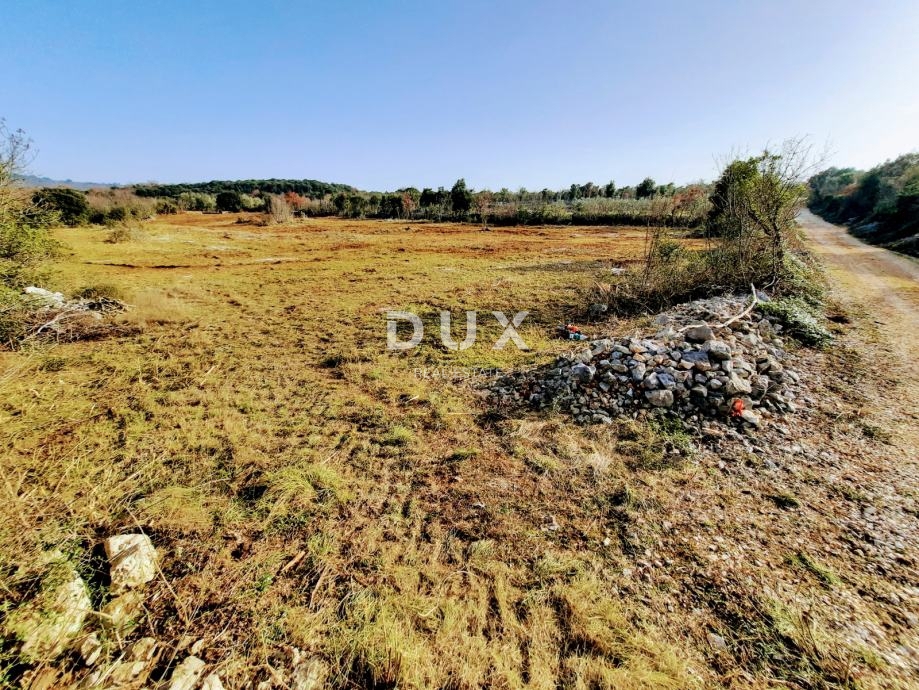 ISTRA, ROVINJ - Idealna kmetijska parcela