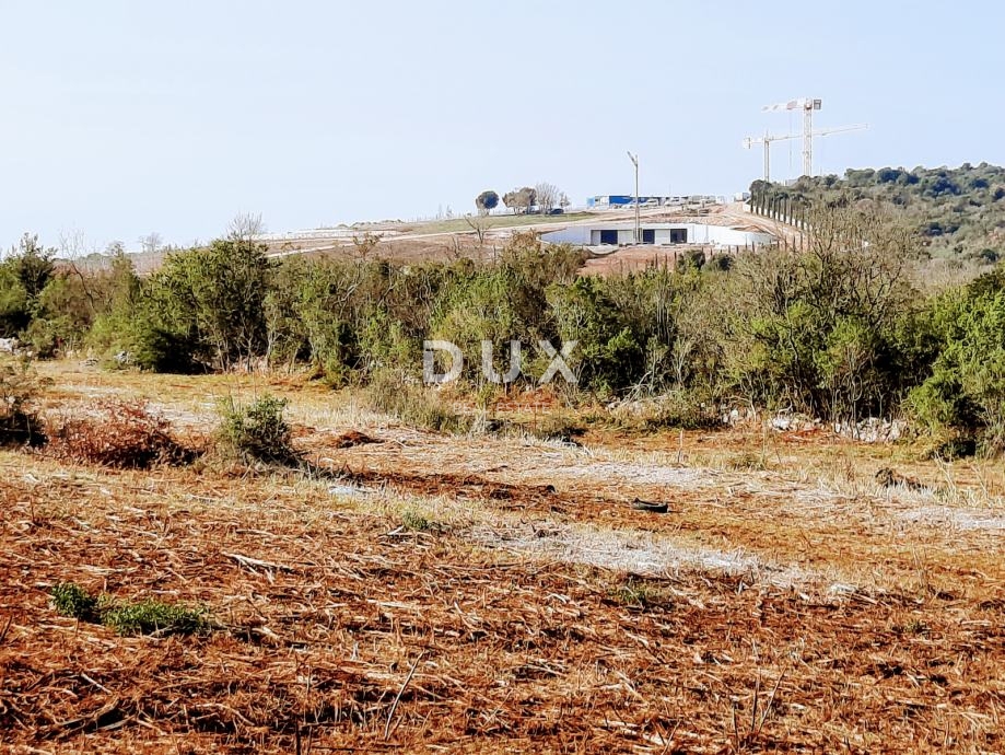 ISTRA, ROVINJ - Idealna kmetijska parcela