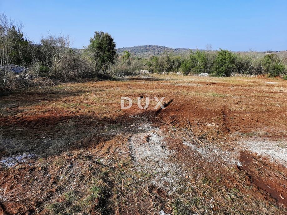 ISTRA, ROVINJ - Idealna kmetijska parcela