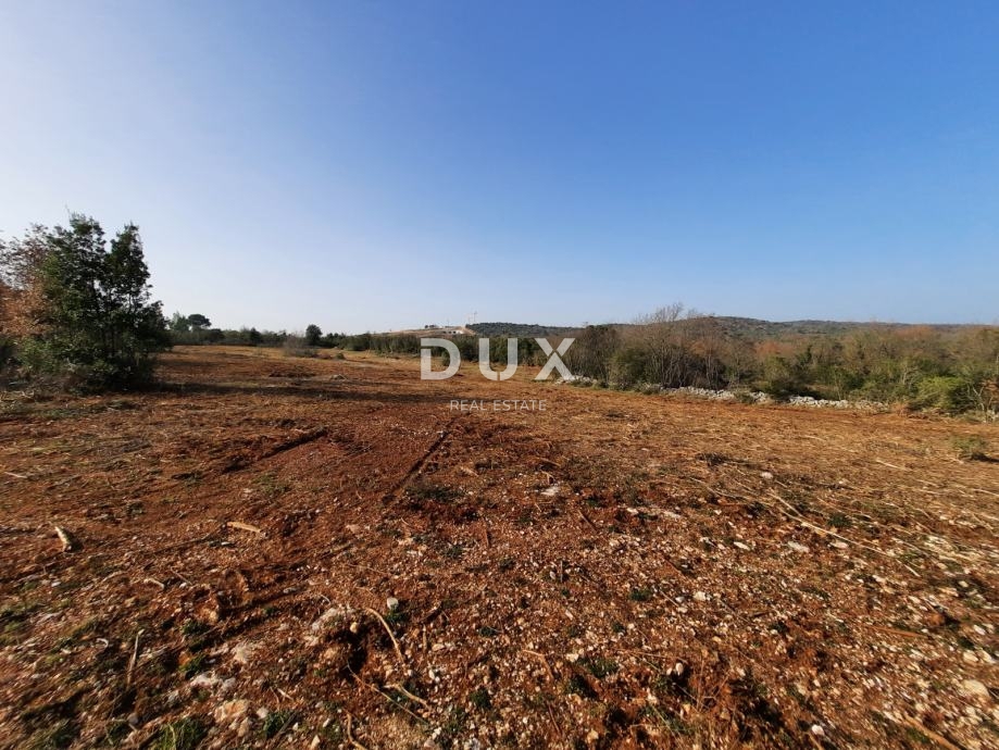 ISTRA, ROVINJ - Idealna kmetijska parcela