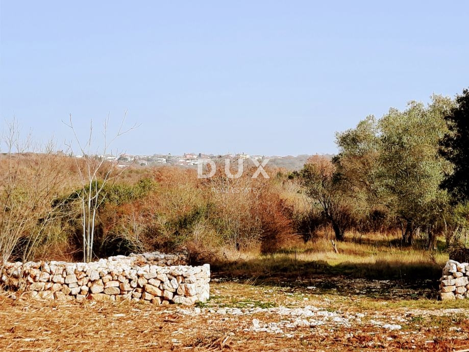 ISTRA, ROVINJ - Idealna kmetijska parcela