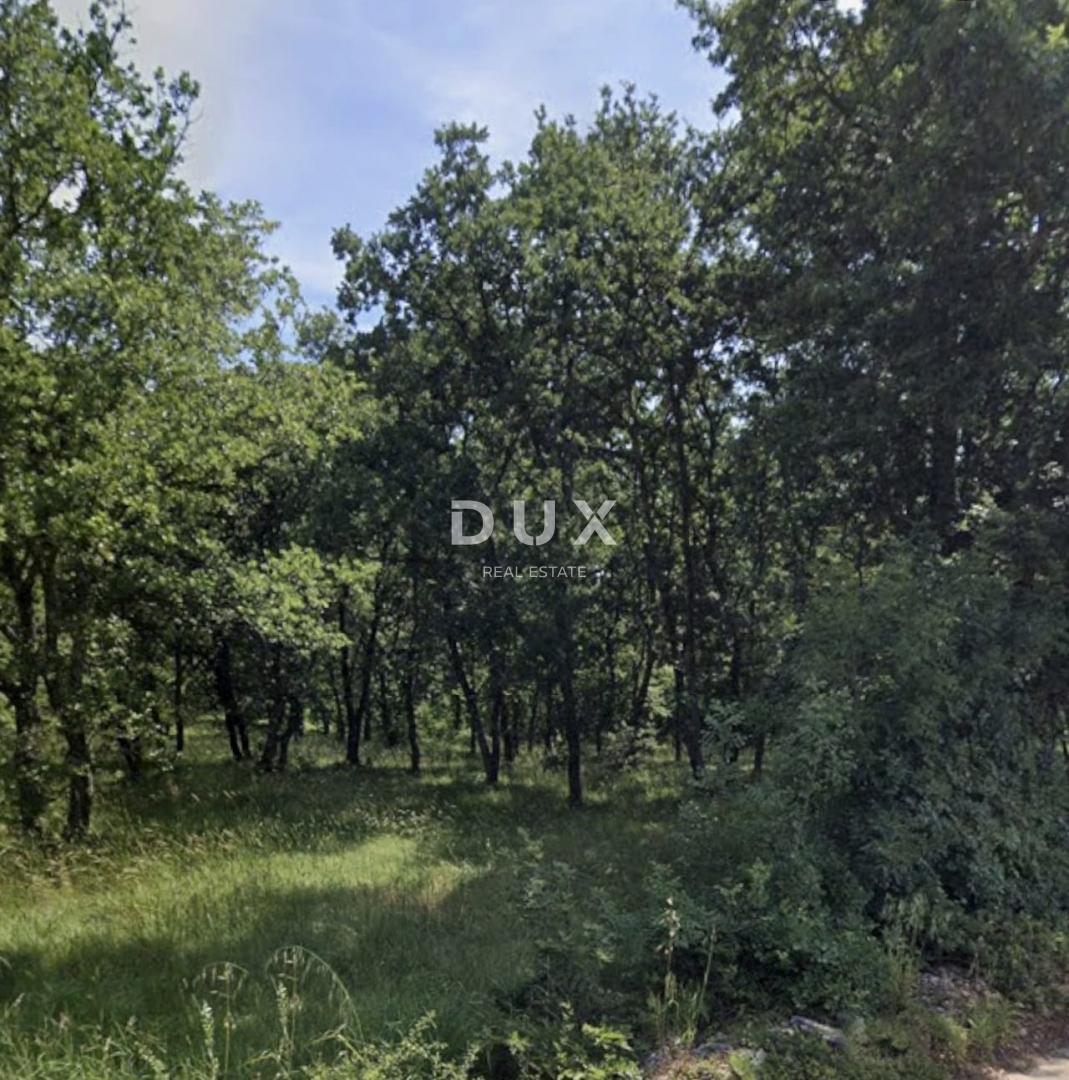 ISTRA, PERUŠKI - Kmetijsko zemljišče 41600 m2