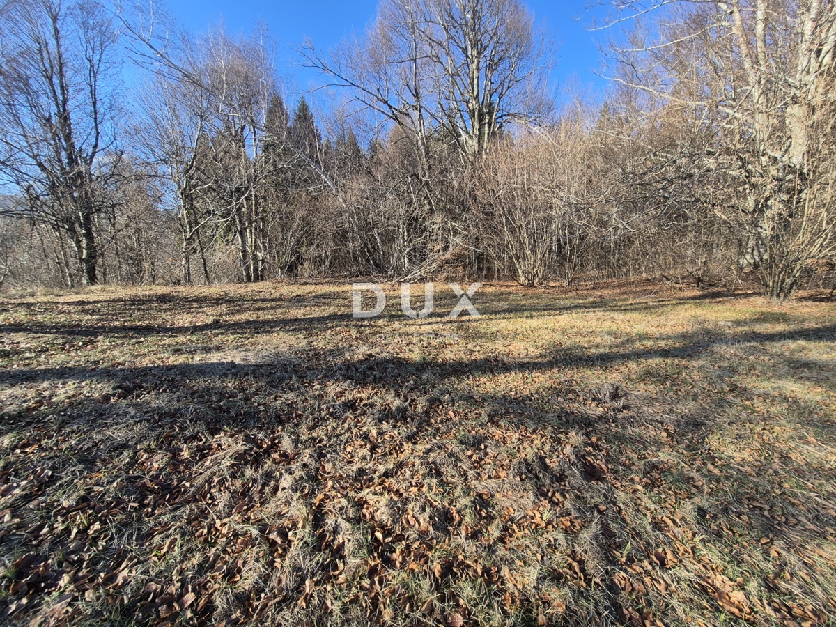 GORSKI KOTAR, FUŽINE - zazidljivo zemljišče 1198 m2 - investicijska priložnost!