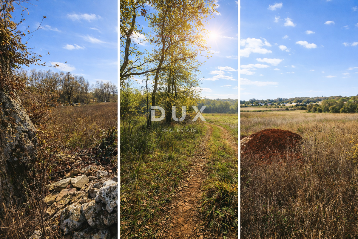 Zemljišče Baderna, Poreč, 4.613m2