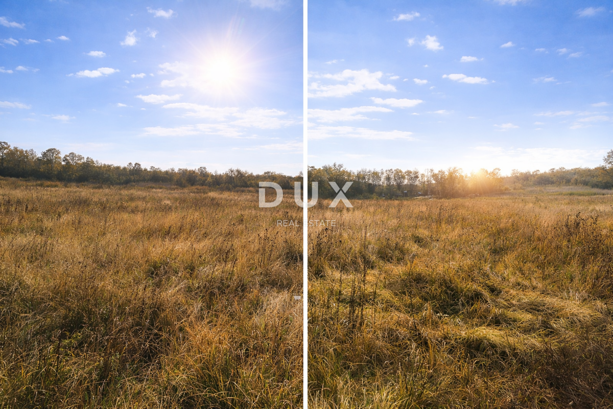 Zemljišče Baderna, Poreč, 4.613m2