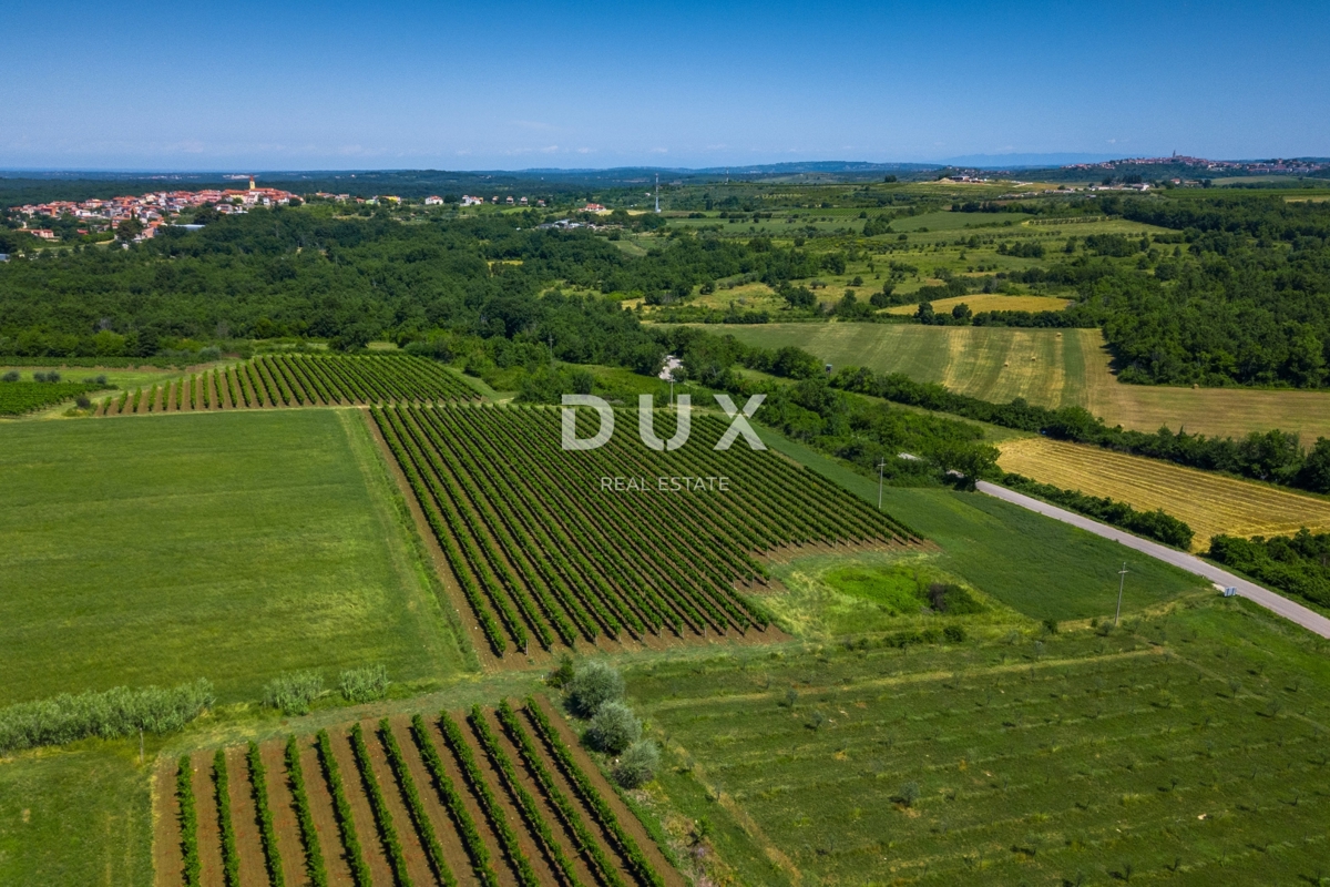 ISTRA, BRTONIGLA - Dizajnerska vila - kombinacija udobja in razkošja