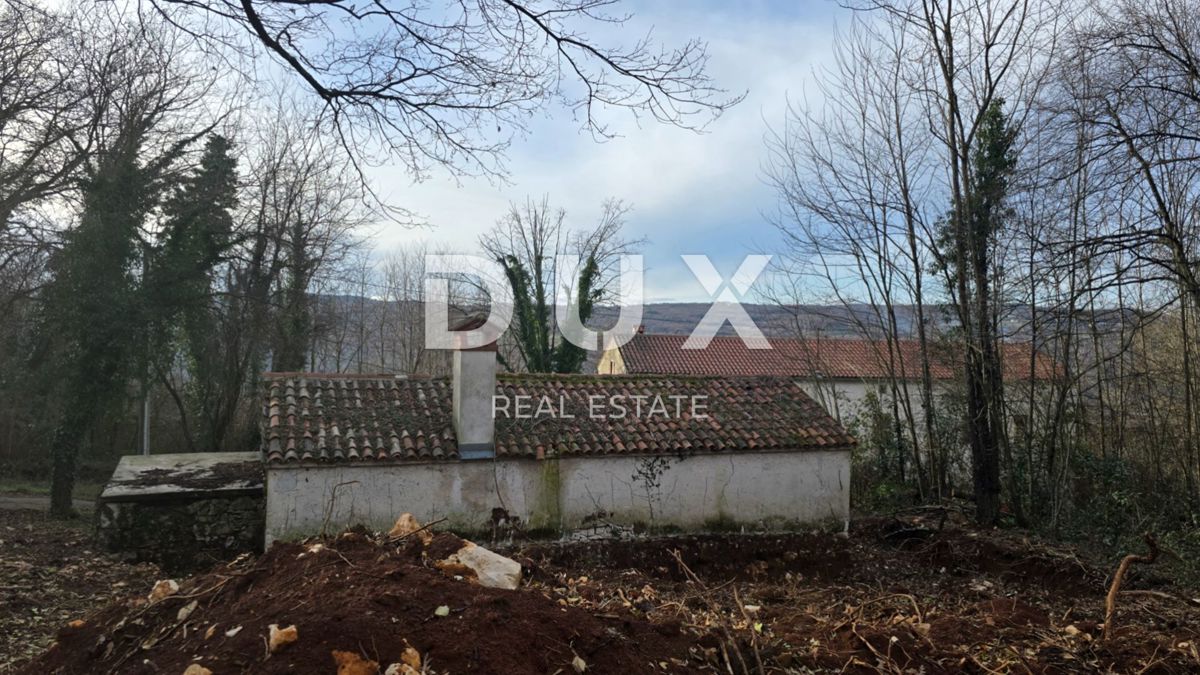 ISTRA, LABIN - Samostojna kamnita hiša s prostornim vrtom