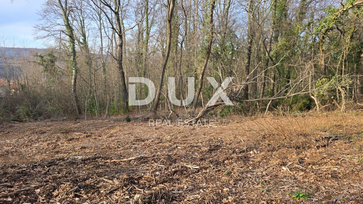 ISTRA, LABIN - Samostojna kamnita hiša s prostornim vrtom