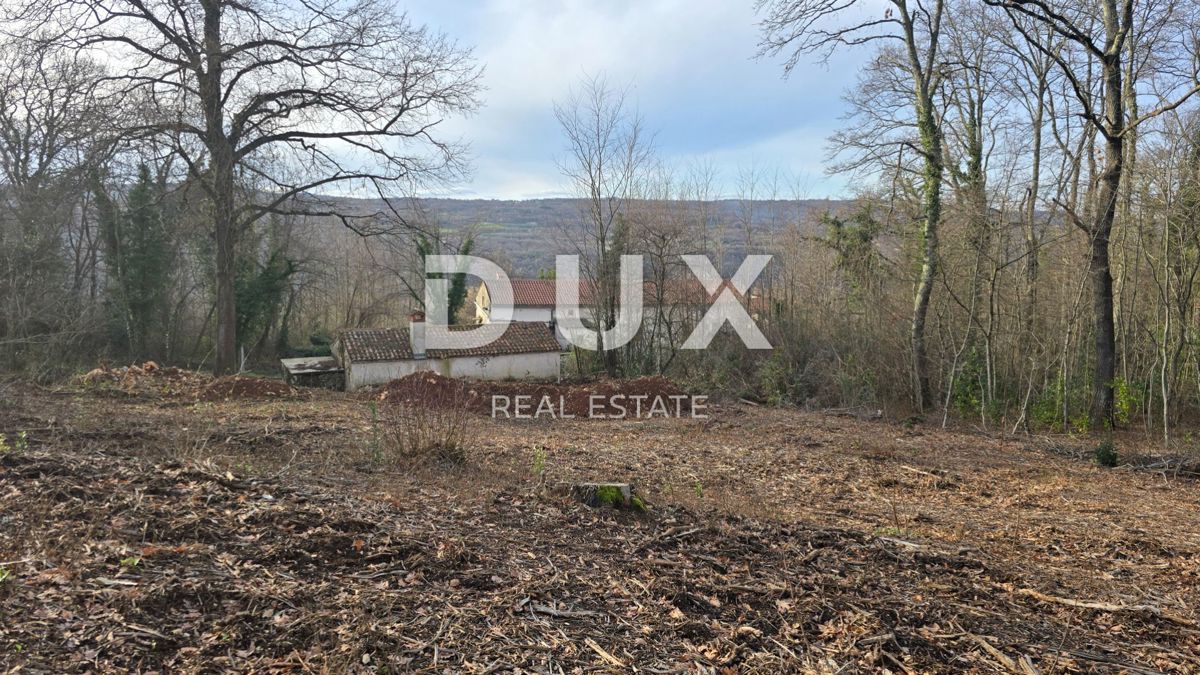 ISTRA, LABIN - Samostojna kamnita hiša s prostornim vrtom