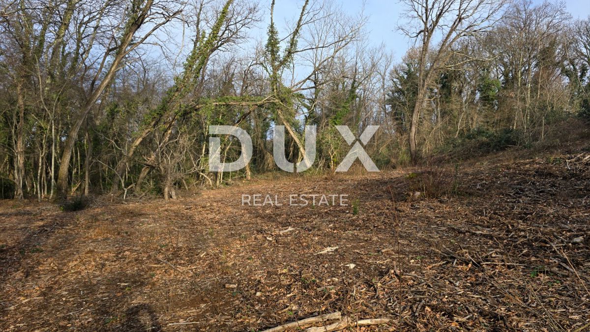 ISTRA, LABIN - Samostojna kamnita hiša s prostornim vrtom