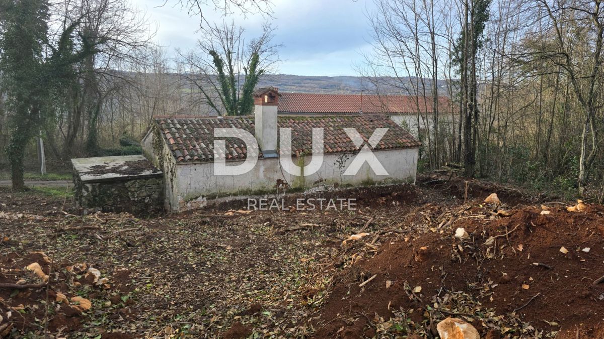 ISTRA, LABIN - Samostojna kamnita hiša s prostornim vrtom