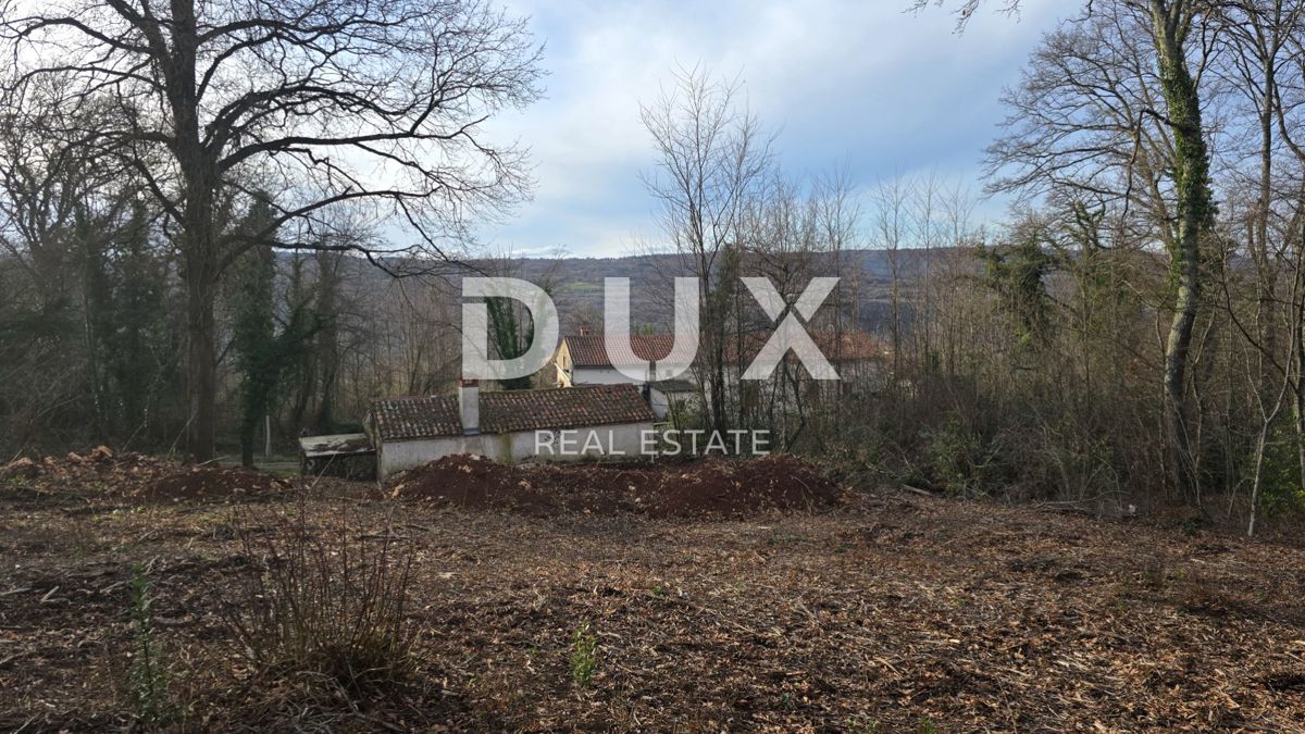 ISTRA, LABIN - Samostojna kamnita hiša s prostornim vrtom