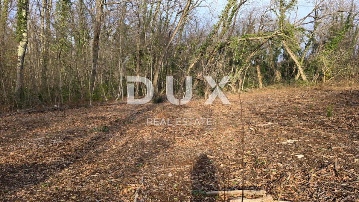 ISTRA, LABIN - Samostojna kamnita hiša s prostornim vrtom