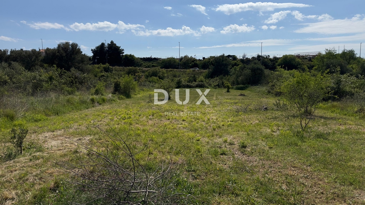 ŠIBENIK, GORNJE RAŽINE - Kmetijsko zemljišče, 7 oljk, 2 figi