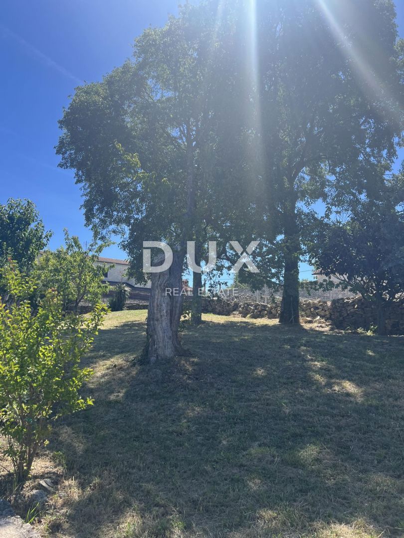 ISTRA, VIŠNJAN - Posest dveh kamnitih hiš, obdanih z naravo in s pogledom na morje