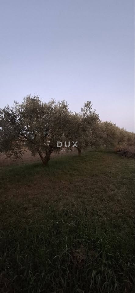 Zemljišče Vodnjan, 111.111m2