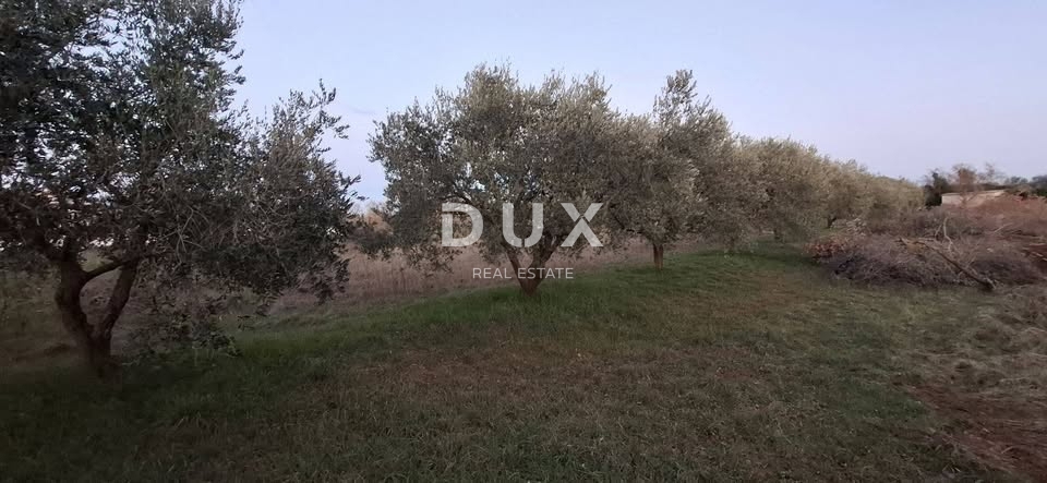 Zemljišče Vodnjan, 111.111m2