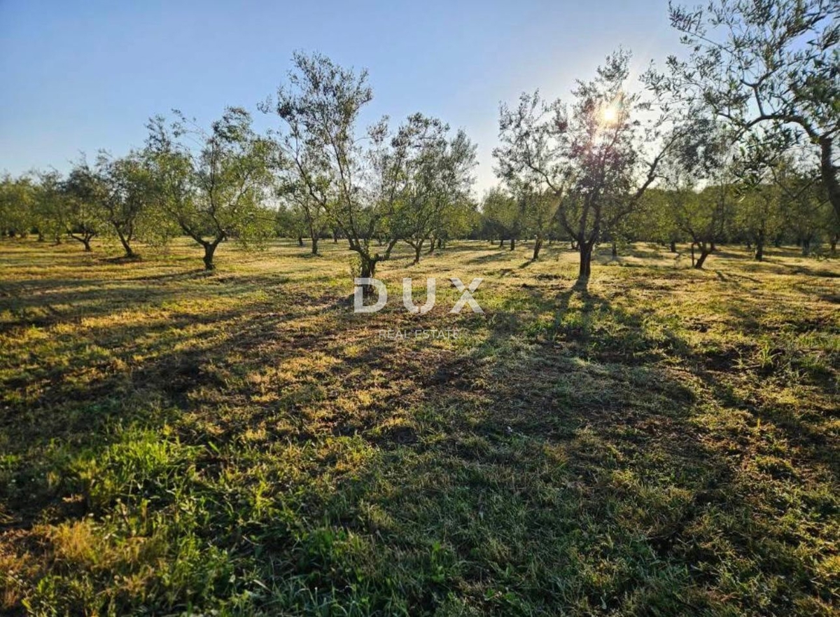 Zemljišče Šišan, Ližnjan, 8.760m2