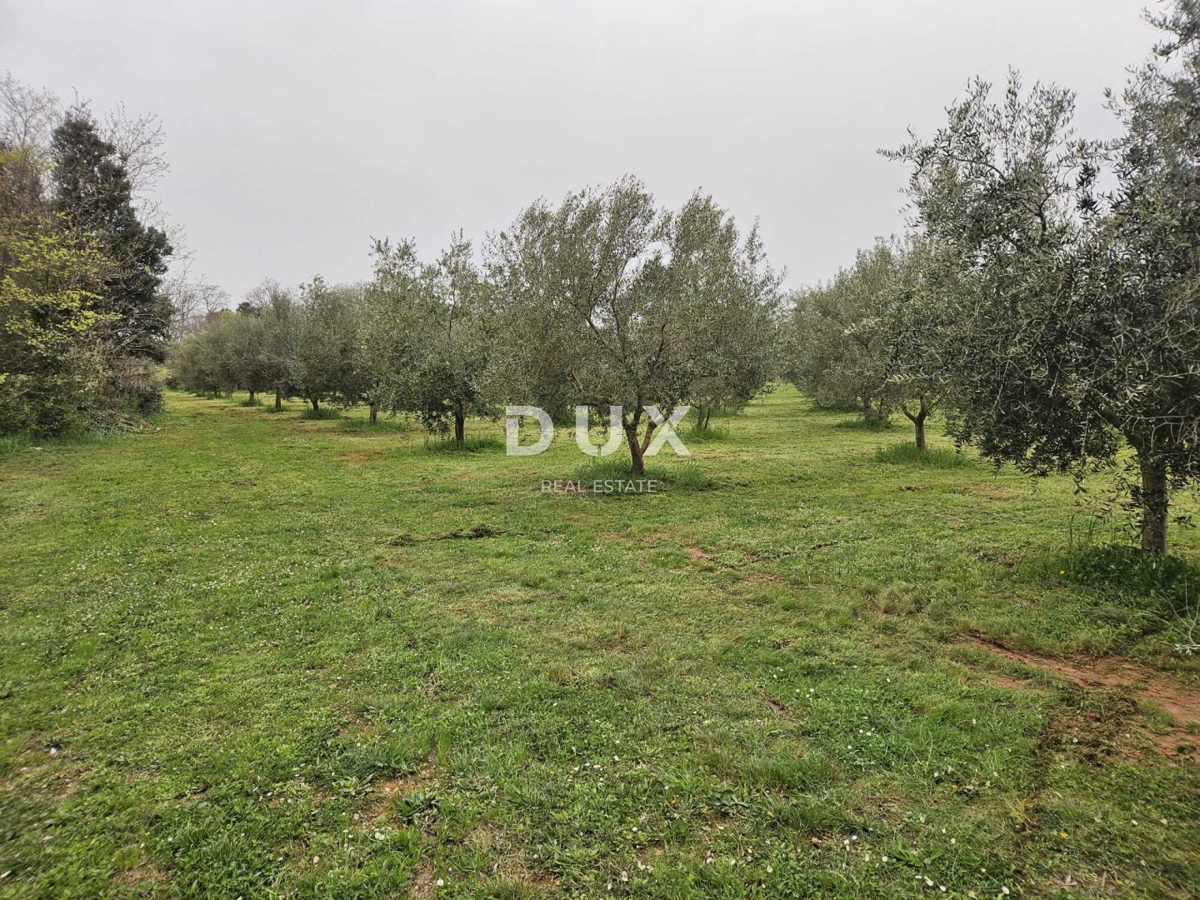 Zemljišče Šišan, Ližnjan, 8.760m2